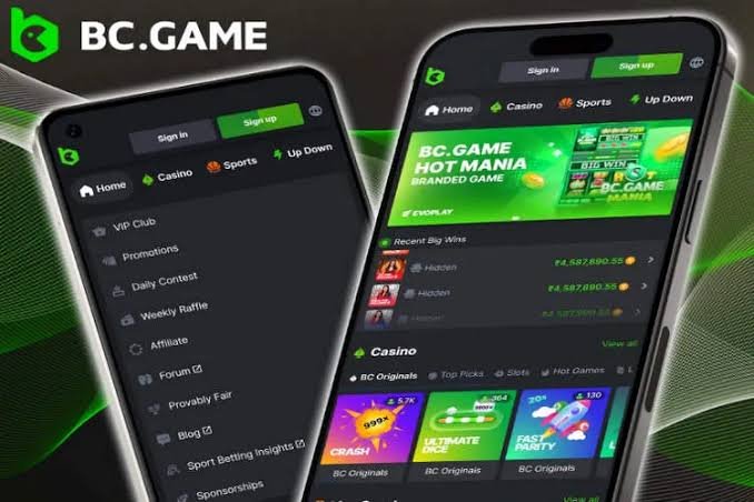 Exploring the BC.Game Mirror Mobile App A New Frontier in Online Gaming