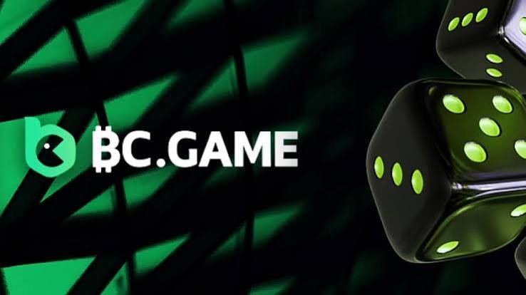 Exploring the BC.Game Mirror Mobile App A New Frontier in Online Gaming